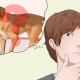 Gør en hund federe