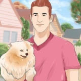 At give en hund et nyt navn