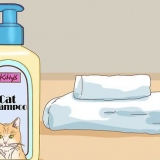 Badning af en kat med minimal skade