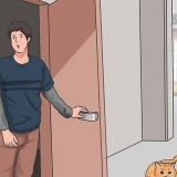 Kalder en kat