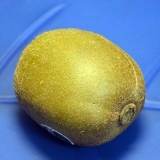 Modne en kiwi