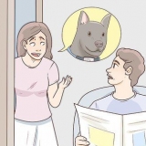 At finde en forsvundet hund