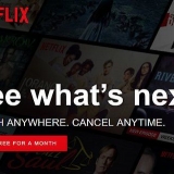 Genoptag et netflix-abonnement, der er blevet annulleret