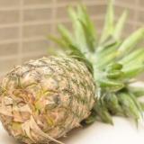 Modne en umoden ananas