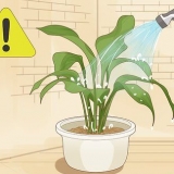 Redder en plante, der er blevet overvandet