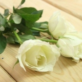 At lave en regnbuerose