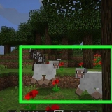 Sådan laver du et regnbuefår i minecraft