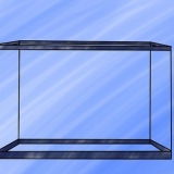 Installation af et ferskvandsakvarium