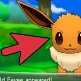 Eevee eevee til espeon eller umbreon