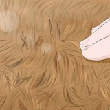 Fjern grubs