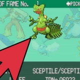 Udvikling af feebas i pokemon
