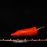 Laver harissa