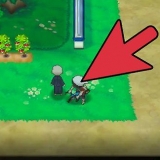 Træning af din pokémons ev