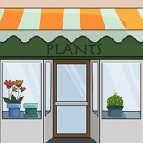 Pleje af stueplanter