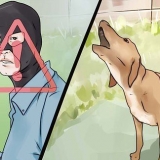Få din hund til at stoppe med at gø ad ukendte mennesker