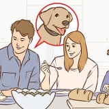 Overbevise dine forældre om at få en hund