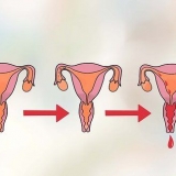 Bestem din mest frugtbare dag for at blive gravid