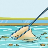 Rengør selv din pool
