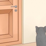 Hold katte ude af et rum