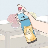 Hold katte ude af din have