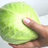 Koge kål