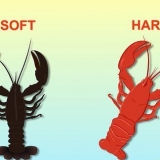 Hummer mad