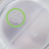 Lim plastik