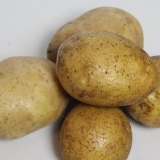 Nemt at lave kartoffelmos
