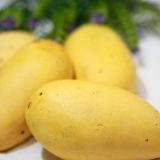 Opbevaring af mango
