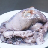 Forbered blæksprutte