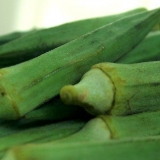 Fryser okra