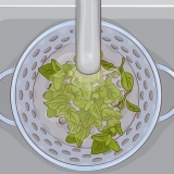 Brug af oregano i køkkenet