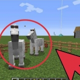 Opdræt af heste i minecraft