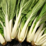 Skære pak choi i skiver