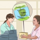 Dyrkning af peberfrugter