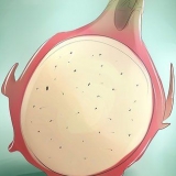Dyrkning af pitaya