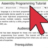 Programmering i samling