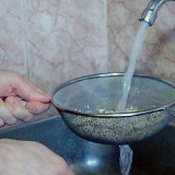 Tilberedning af quinoa i en riskoger