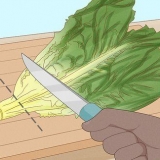 Holde salat frisk