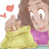 Tips til pleje af din sugarglider