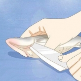 Fiskefiletering