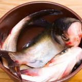 Forbered fisk