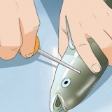 Rense fisk