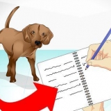 At tage sig af en syg hund
