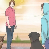 Forhindrer en hund i at gø af andre hunde