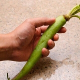 Forbereder wasabi