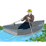 Fjern åkander