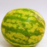 At lave vandmelonvin