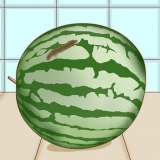 Se om en vandmelon er rådden