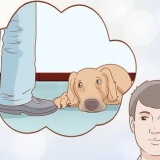 Se om din hund er deprimeret